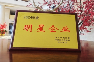 新(xin)春新(xin)景新(xin)氣(qi)象 | 景興紙業在(zai)平湖(hú)三幹大(da)會上喜摘榮譽！